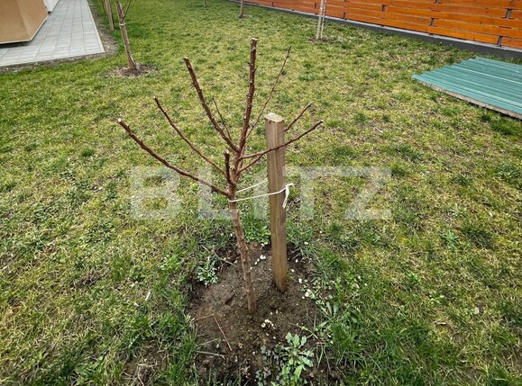 Apartament de vânzare 4 camere Dumbravita - 110766AV | BLITZ Timișoara | Poza3