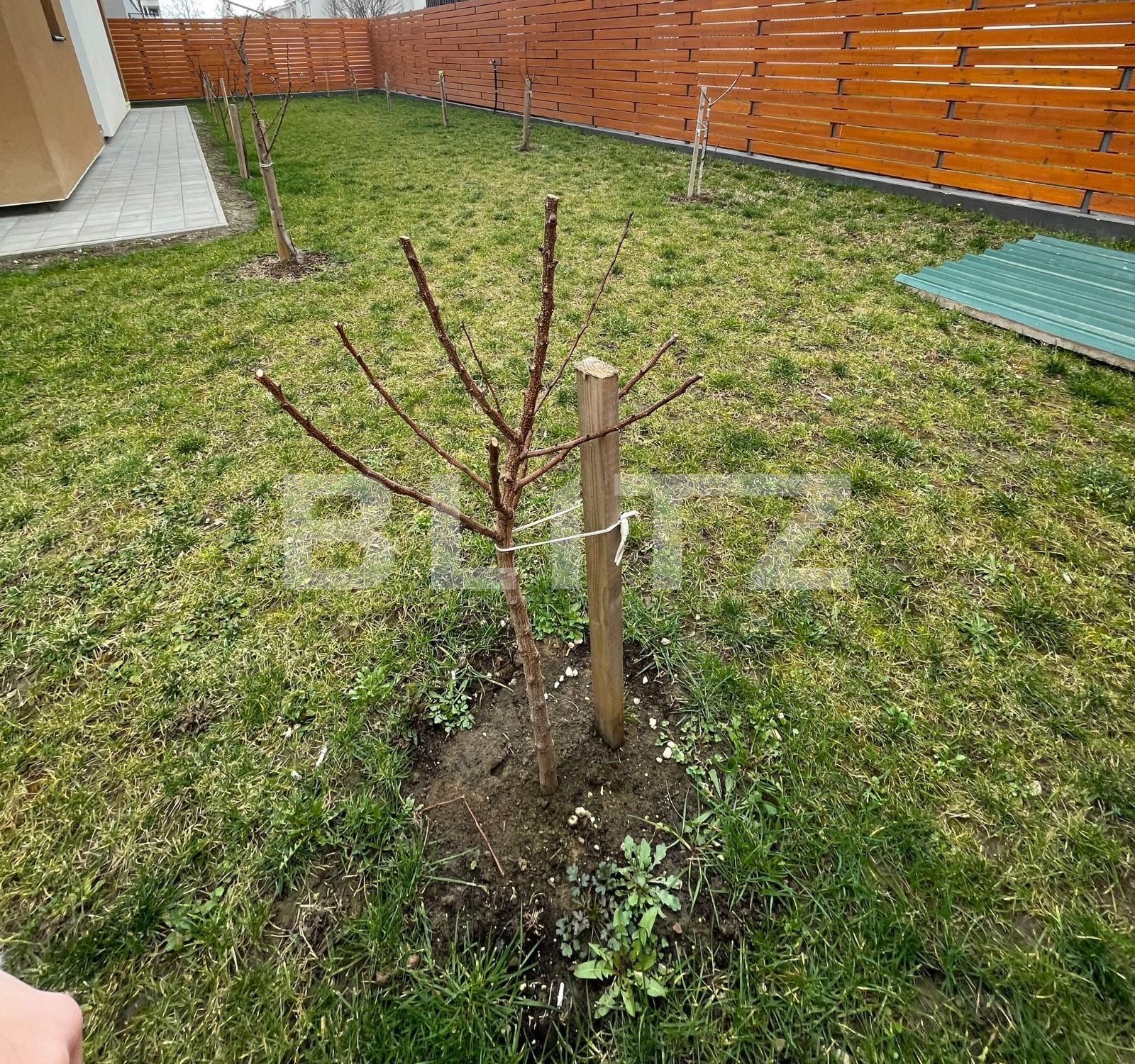 Apartament de vânzare 4 camere Dumbravita - 110766AV | BLITZ Timișoara | Poza3