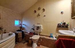 Casa cu spatiu comercial la parter, 209 mp utili, 290 teren, Lipovei