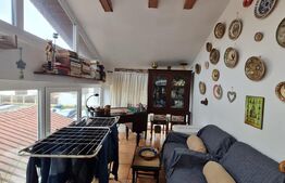 Casa cu spatiu comercial la parter, 209 mp utili, 290 teren, Lipovei