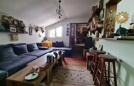 Casa cu spatiu comercial la parter, 209 mp utili, 290 teren, Lipovei