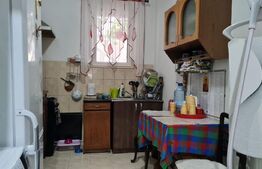 Casa cu spatiu comercial la parter, 209 mp utili, 290 teren, Lipovei