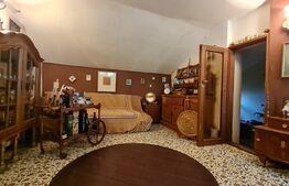 Casa cu spatiu comercial la parter, 209 mp utili, 290 teren, Lipovei