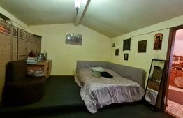 Casa cu spatiu comercial la parter, 209 mp utili, 290 teren, Lipovei