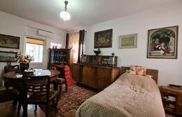 Casa cu spatiu comercial la parter, 209 mp utili, 290 teren, Lipovei