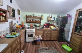 Casa cu spatiu comercial la parter, 209 mp utili, 290 teren, Lipovei