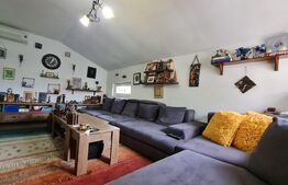 Casa cu spatiu comercial la parter, 209 mp utili, 290 teren, Lipovei