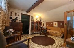 Casa cu spatiu comercial la parter, 209 mp utili, 290 teren, Lipovei