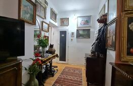 Casa cu spatiu comercial la parter, 209 mp utili, 290 teren, Lipovei