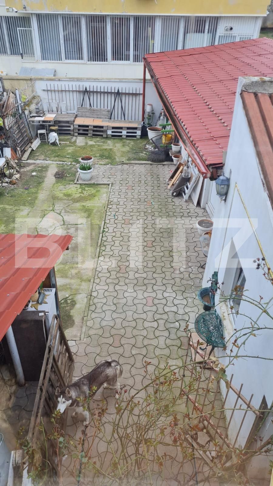 Casa de vânzare 6 camere Lipovei - 110984CV | BLITZ Timișoara | Poza14