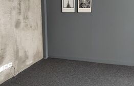 Oportunitate! Cladire 716 mp utili, 1600 mp teren, Aradului