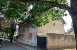 Casă P + 1E , 200 mp utili si 700 mp teren pe Bujorilor