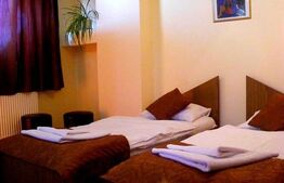 Oportunitate business, ansamblu cu pensiune si apartamente, Timisoara!