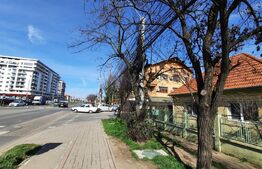 Oportunitate business, ansamblu cu pensiune si apartamente, Timisoara!