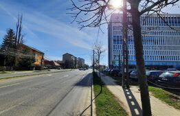 Oportunitate business, ansamblu cu pensiune si apartamente, Timisoara!