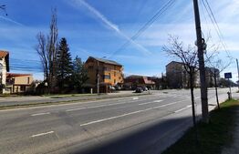 Oportunitate business, ansamblu cu pensiune si apartamente, Timisoara!