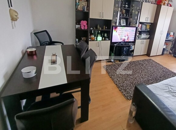 Garsonieră de vânzare Lipovei - 111308AV | BLITZ Timișoara | Poza2