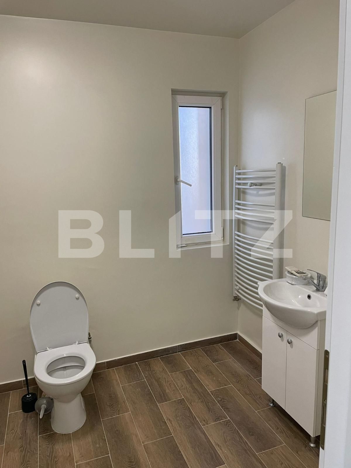 Spațiu comercial de închiriat Bucovina - 111398SIC | BLITZ Timișoara | Poza5