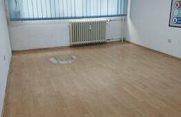 Apartament doua camere, parter, Bulevardul Gheorghe Lazar
