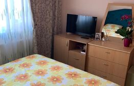 APARTAMENT 2 CAMERE, 48 MP, CALEA LIPOVEI