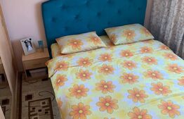 APARTAMENT 2 CAMERE, 48 MP, CALEA LIPOVEI