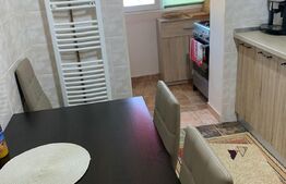 APARTAMENT 2 CAMERE, 48 MP, CALEA LIPOVEI