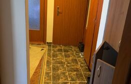 APARTAMENT 2 CAMERE, 48 MP, CALEA LIPOVEI