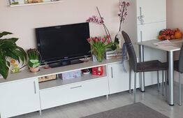 Apartament de 3 camere, 50mp, zona Aradului