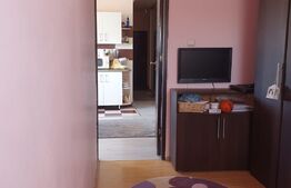 Apartament de 3 camere, 50mp, zona Aradului
