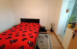 Apartament 3 camere, centrala, etaj intermediar, in spate la Judetean- Parc Padurice