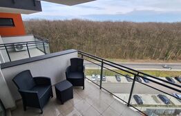 Apartament 3 camere, 60mp, Lipovei