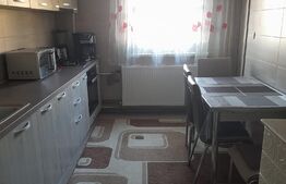 APARTAMENT 2 CAMERE ZONA BUCOVINA