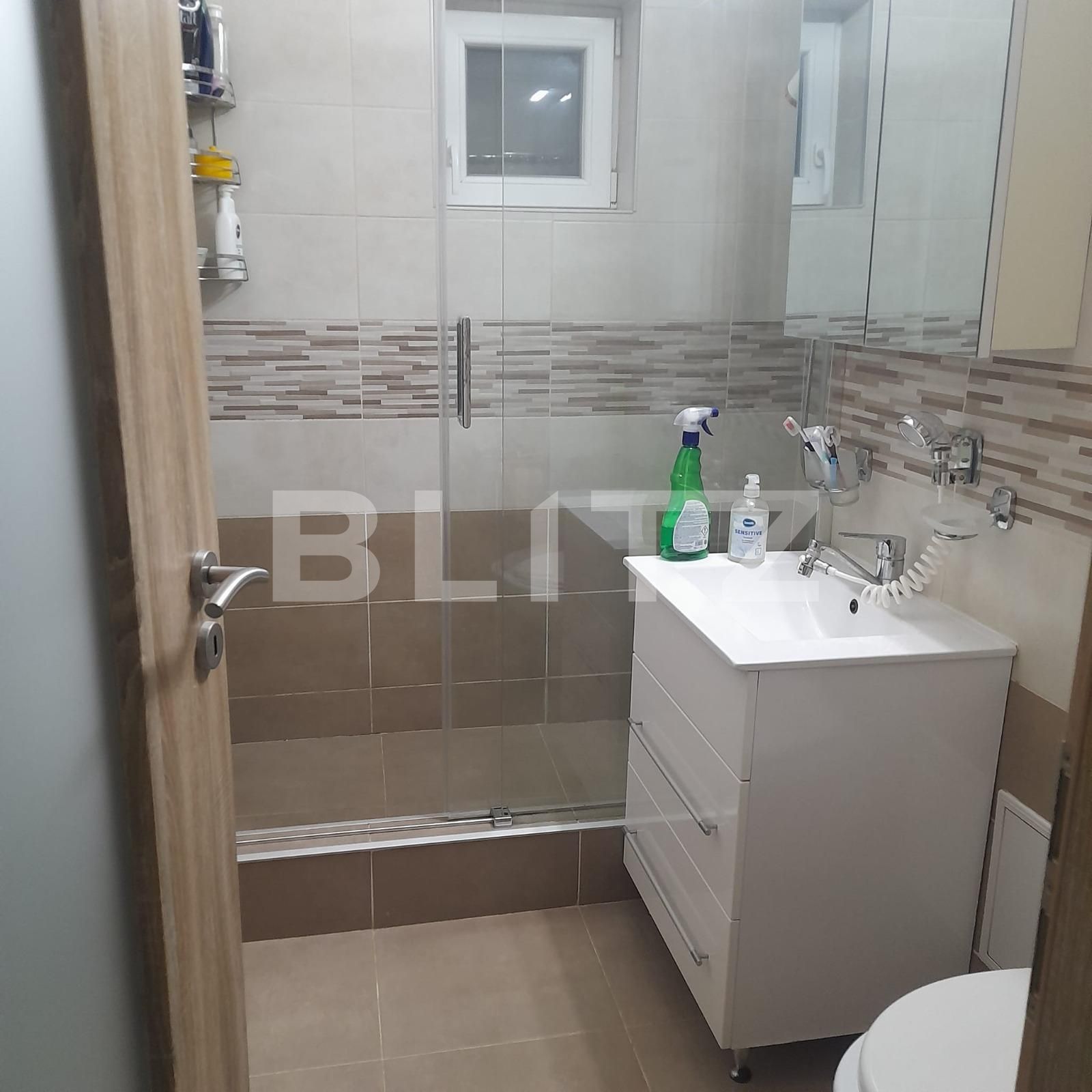 Apartament de vânzare 2 camere Bucovina - 111567AV | BLITZ Timișoara | Poza3