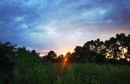 Teren intravilan, 555 mp, front 18ml, zona Ghiroda