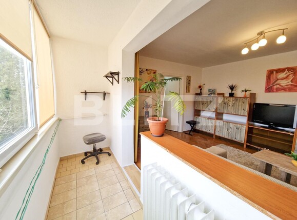 Apartament de închiriat 3 camere Olimpia-Stadion - 111575AI | BLITZ Timișoara | Poza3