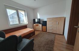 Casa individuala 220 mp utili, 690 mp teren, Mosnita Noua!