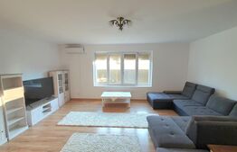 Casa individuala 220 mp utili, 690 mp teren, Mosnita Noua!