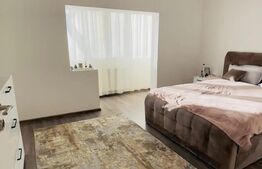 Apartament 1 camera, lux, Calea Aradului