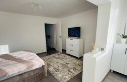 Apartament 1 camera, lux, Calea Aradului