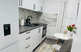 Apartament 1 camera, lux, Calea Aradului