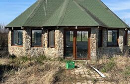 Casa individuala, 207 mp utili, 2.291 mp teren, Izvin!