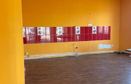 Casa individuala, 207 mp utili, 2.291 mp teren, Izvin!