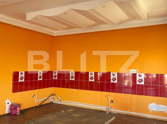 Casa de vânzare 5 camere Remetea Mare - 112123CV | BLITZ Timișoara | Poza10