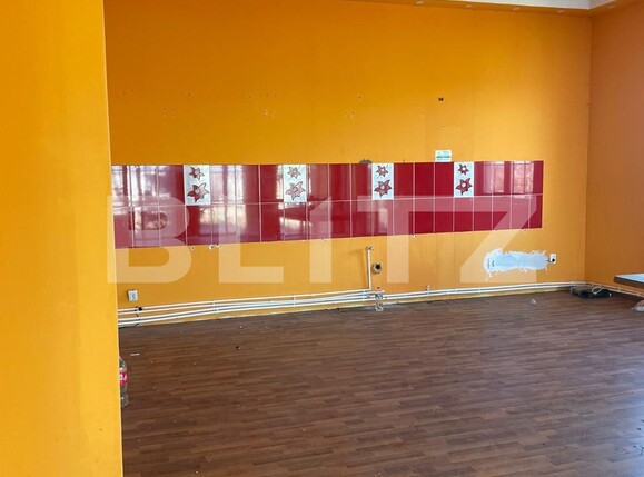 Casa de vânzare 5 camere Remetea Mare - 112123CV | BLITZ Timișoara | Poza11