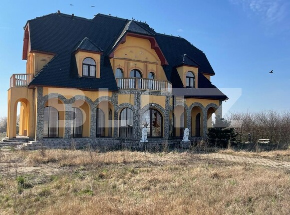 Casa de vânzare 5 camere Remetea Mare - 112123CV | BLITZ Timișoara | Poza2