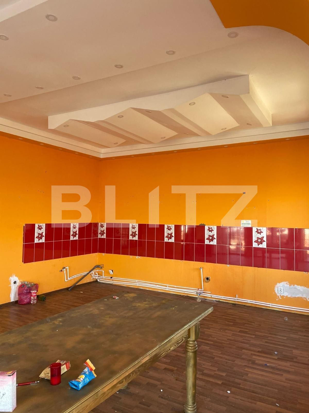 Casa de vânzare 5 camere Remetea Mare - 112123CV | BLITZ Timișoara | Poza10