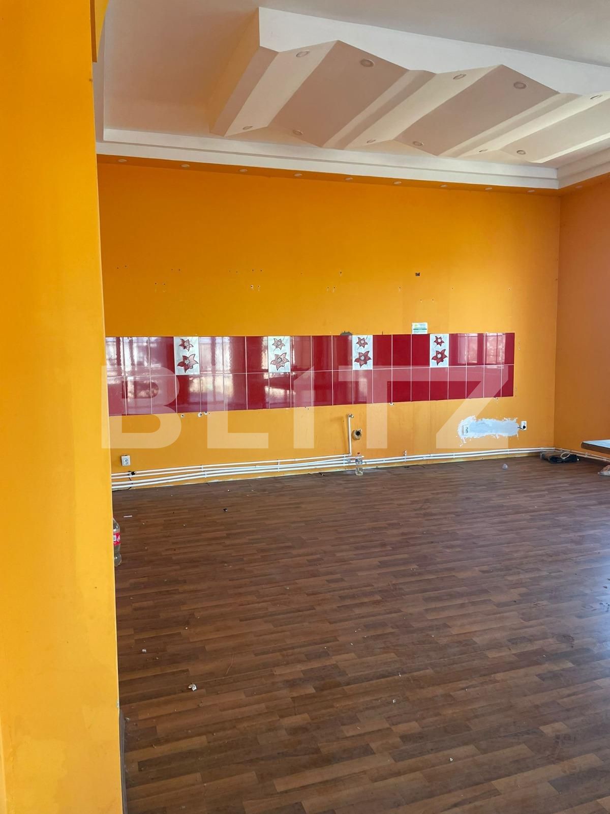 Casa de vânzare 5 camere Remetea Mare - 112123CV | BLITZ Timișoara | Poza11