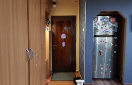 APARTAMENT 2 CAMERE, PARTER INALT, 57MP, CALEA ȘAGULUI