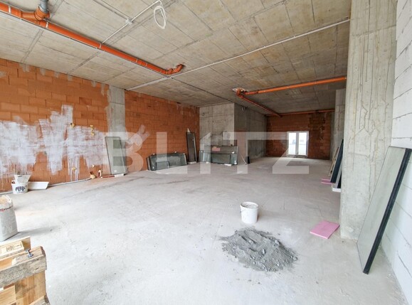 Spațiu comercial de închiriat Badea Cartan - 112135SIC | BLITZ Timișoara | Poza3