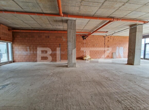 Spațiu birouri de închiriat Badea Cartan - 112141SIB | BLITZ Timișoara | Poza3